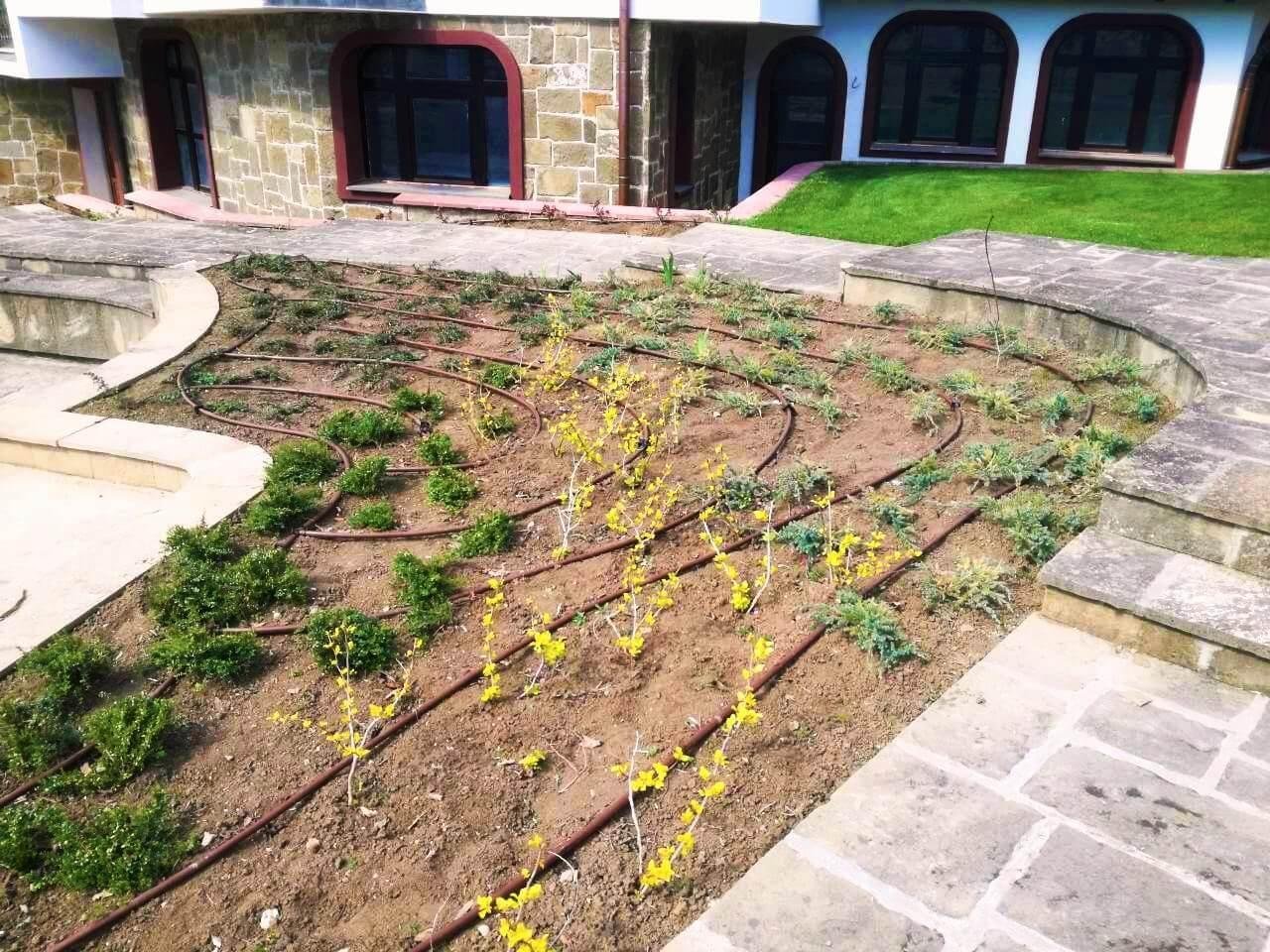 Снимки Галерия